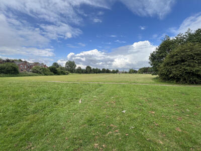 Picture 27